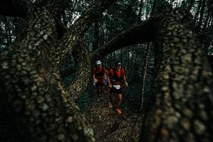 BIB: 
                            <button type="button" onclick="openModal(25691447)" class="btn btn-primary btn-sm float-right btn-popup" data-toggle="modal" data-target=".modal-high-quality">
                        <i class="fas fa-shopping-cart"></i> Add to Cart
                    </button>
                                            <button type="button" onclick="isThisMe(25691447, true)" class="btn btn-success btn-sm float-right btn-popup btn-isme hidden" data-toggle="tooltip" data-placement="bottom" title="นี่คือรูปของคุณใช่ไหม คลิกที่นี่เพื่อเอาเข้าอัลบั้ม">
                        <i class="fas fa-plus"></i> Add to album
                    </button>
                    <button type="button" onclick="isThisMe(25691447, false)" class="btn btn-warning btn-sm float-right btn-popup btn-isnotme hidden">
                        <i class="fas fa-ban"></i> Remove from album
                    </button>